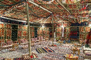 Hotel ALEXANDER THE GREAT RESORT wakacje