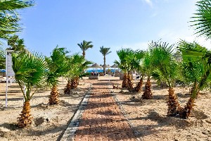 Hotel HILTON NUBIAN MARSA ALLAM wakacje