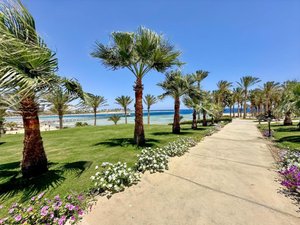 Hotel ROYAL BRAYKA BEACH RESORT wakacje