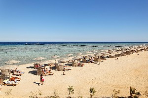 The Three Corners Fayrouz Plaza Resort 5* (4*)