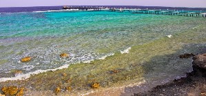 Wadi Lahmy Azur Resort 4* (4*)