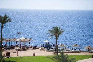 Amphoras Beach 5* (5*)