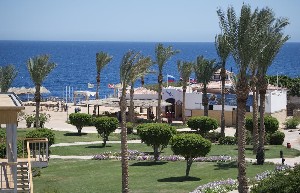 Amphoras Beach 5* (5*)