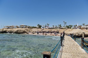 Amphoras Beach 5* (5*)