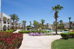 Amphoras Beach 5* (5*)