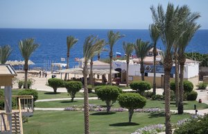 Amphoras Beach 5* (5*)