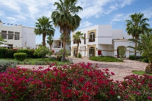 Amphoras Blu Resort 4* (4*)