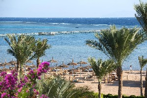 Hotel AMWAJ OYOUN wakacje