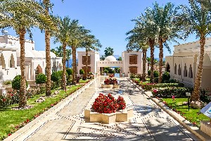 Hotel CLUB REEF RESORT wakacje