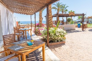 Hotel CLUB REEF RESORT wakacje