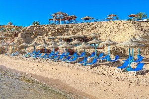 Hotel CLUB REEF RESORT wakacje