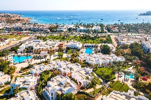 Hotel NOVOTEL PALM wakacje