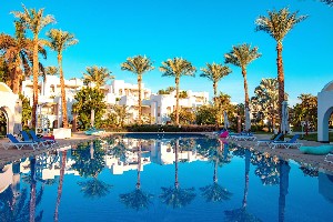 Hotel NOVOTEL PALM wakacje