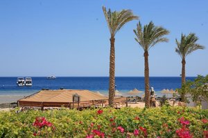 Albatros Palace Resort Sharm El Sheikh 5* (5*)