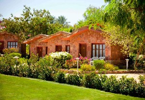 Hotel XPERIENCE ST. GEORGE HOMESTAY wakacje