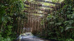 Hotel THE ST. REGIS BALI RESORT wakacje