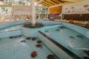 Hotel ANDAZ BALI wakacje