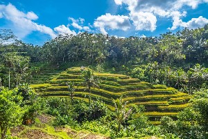 Hotel EXIMdiscovery – Bali: Duchy wyspy, świątynie i tropikalny relaks (Deluxe) wakacje