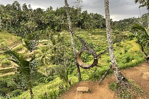 Hotel EXIMdiscovery – Bali: Duchy wyspy, świątynie i tropikalny relaks (Superior) wakacje