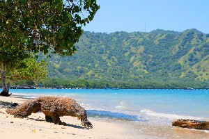 Hotel EXIMdiscovery – Bali i Flores: Smoki, plaże i tropikalna przygoda wakacje