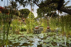 Hotel SOL BY MELIA BALI BENOA wakacje