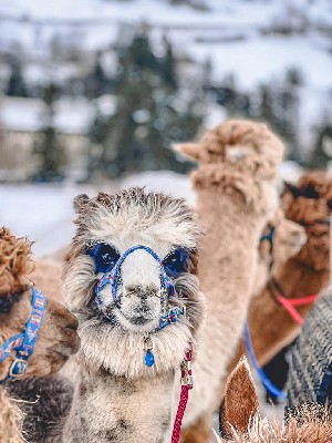 Hotel RESIDENCE NIRA wakacje