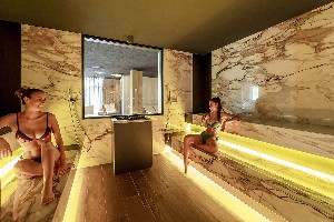 Hotel ALPEN VILLAGE RESORT wakacje