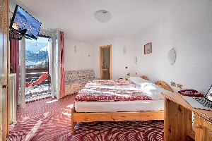 Hotel ALPEN VILLAGE RESORT wakacje