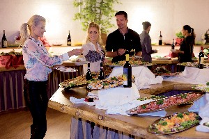 Hotel ALPEN VILLAGE RESORT wakacje