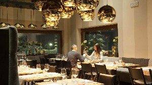 Hotel CLUB ALEXANDER wakacje