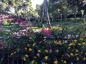 Hotel INTERNAZIONALE SAN MENAIO HC CAMPING VILLAGE wakacje