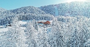 Hotel BAD MOOS DOLOMITES SPA RESORT S wakacje