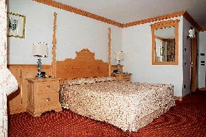 Hotel GRIFONE wakacje