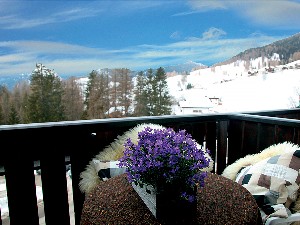 Hotel NIGRITELLA wakacje