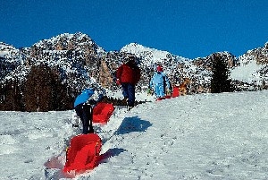 Hotel SPORT HOTEL CORTINA BARISETTI wakacje