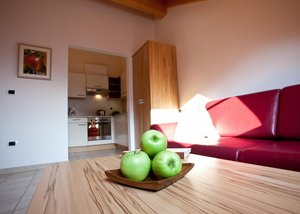Hotel DOM APARTAMENTOWY GASSERHOF AICHA wakacje