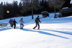 Hotel NATUR & AKTIV HOTEL ROGEN wakacje