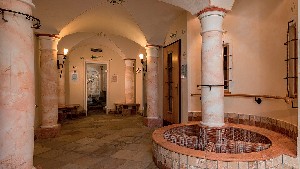 Hotel STEGER-DELLAI wakacje