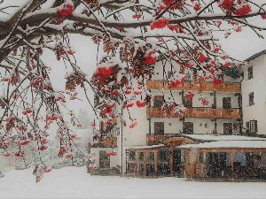 Hotel ALBERGO PANORAMA wakacje