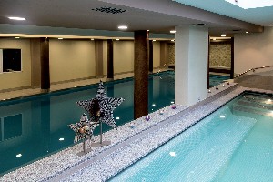 Hotel APARTHOTEL DES ALPES wakacje