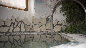 Hotel ORSO GRIGIO wakacje