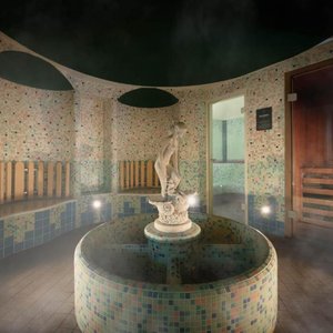 Spa and wellness
