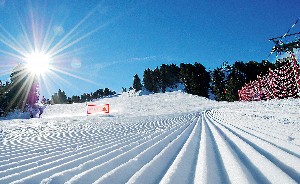 Hotel SPORTING wakacje