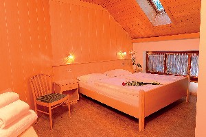 Hotel ALPIN HAUS SMART & FAMILY wakacje