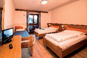 Hotel ALPIN HAUS SMART & FAMILY wakacje