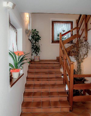 Hotel ALPIN HAUS SMART & FAMILY wakacje