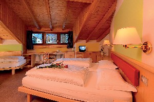 Hotel ALPIN HAUS SMART & FAMILY wakacje