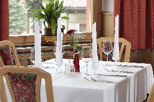 Hotel ALPINO PLAN wakacje