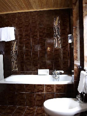 Hotel OLYMPIA wakacje