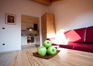Hotel DOM APARTAMENTOWY GASSERHOF AICHA wakacje